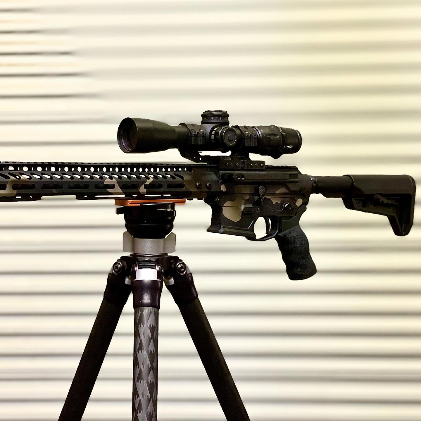 Gallery - SD RIFLES